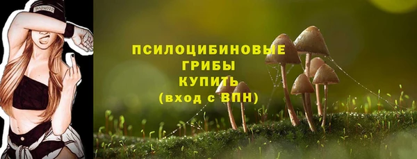 ешки Магас