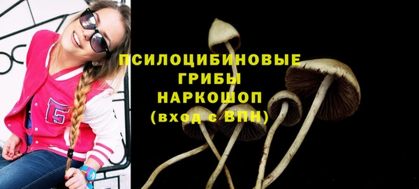 ешки Магас