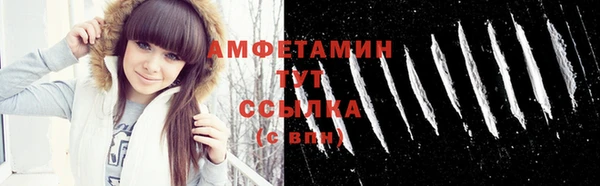 PSILOCYBIN Майский