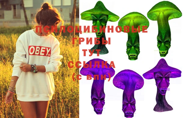 PSILOCYBIN Майский