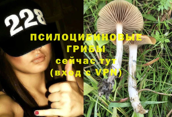ALPHA PVP Заводоуковск