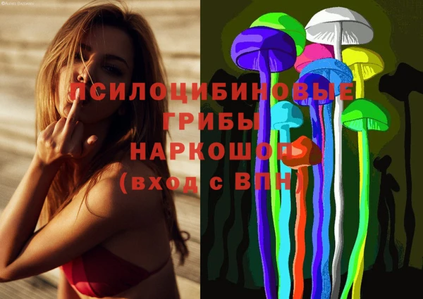 PSILOCYBIN Майский