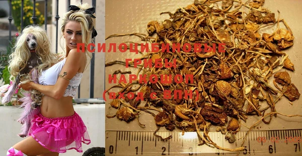 герыч Магадан