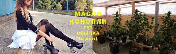 PSILOCYBIN Майский