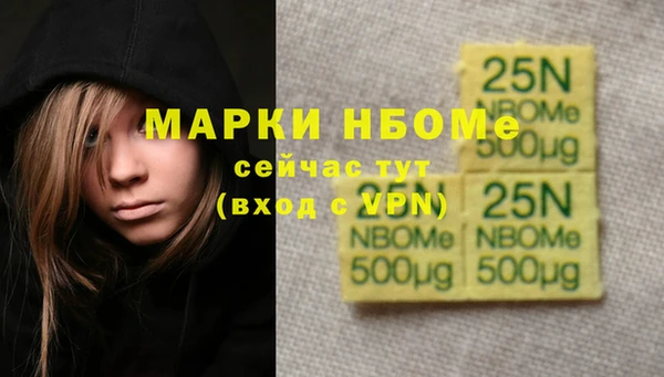 стафф Заволжск