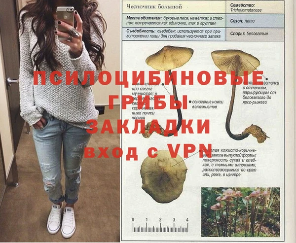PSILOCYBIN Майский