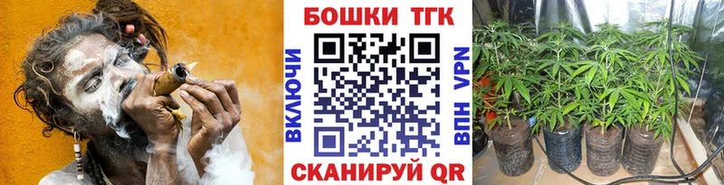 Бошки Шишки план  Чадан 